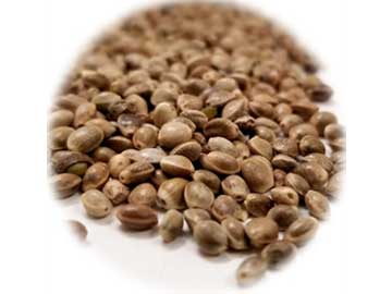 Health Benefits of Hemp Seeds